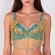 Beaded Sequin Belly Dance Bra Top