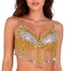 Beaded Sequin Belly Dance Bra Top