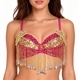 Beaded Sequin Belly Dance Bra Top