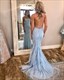 Spaghettiträger Rückenfreies Langes Prom Kleid