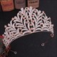 Alloy Leaf Rhinestones Princess Crown Bridal Tiara