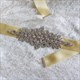 Satin Bridal Sash Belt With Rhinestones