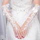 Lace Embellished Long Gloves With Beading