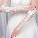 Lace Embellished Long Gloves With Beading