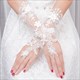 Lace Embellished Long Gloves With Beading