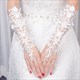 Lace Embellished Long Gloves With Beading