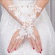 Lace Embellished Long Gloves With Beading