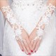 Lace Embellished Long Gloves With Beading