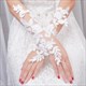 Lace Embellished Long Gloves With Beading