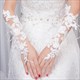 Lace Embellished Long Gloves With Beading