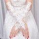 Lace Beaded Embellished Gloves