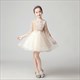 Sequin Embellished Tulle Flower Girl Dress With Sleeves