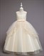 Girls Lace Embellished Tulle Birthday Princess Party Dress
