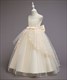 Girls Lace Embellished Tulle Birthday Princess Party Dress