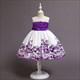 Girls Lace Embroidery Princess Party Dress With Bowknot
