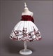 Girls Lace Embroidery Princess Party Dress With Bowknot