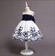 Girls Lace Embroidery Princess Party Dress With Bowknot