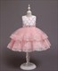 Girls Lace Applique Floral Tulle Princess Dress With Beading