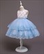 Girls Lace Applique Floral Tulle Princess Dress With Beading