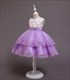 Girls Lace Applique Floral Tulle Princess Dress With Beading