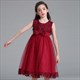Floral Embellished Tulle Birthday Princess Party Dress
