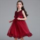 Floral Embellished Tulle Birthday Princess Party Dress