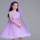 Floral Embellished Tulle Birthday Princess Party Dress