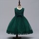 Floral Embellished Tulle Birthday Princess Party Dress