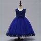 Floral Embellished Tulle Birthday Princess Party Dress
