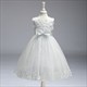 Floral Embellished Tulle Birthday Princess Party Dress