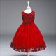 Floral Embellished Tulle Birthday Princess Party Dress