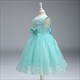 Floral Embellished Tulle Birthday Princess Party Dress