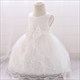 Lace Embellished Toddler Girl Birthday Dress With Bowknot