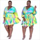 Floral Printed Long Sleeve Wrap V-Neck Pleated Plus Size Dress