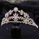 Leaf Bridal Tiara With Rhinestone Accents