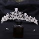 Leaf Zircon Birthday Girl Bridal Tiara With Rhinestone Accents