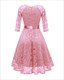 V-Neck Lace Overlay Cocktail Dresses With Long Sleeves