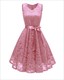 V-Neck Sleeveless Lace Overlay Cocktail Dresses