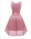 V-Neck Sleeveless Lace Overlay Cocktail Dresses