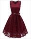 V-Neck Sleeveless Lace Overlay Cocktail Dresses
