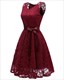 V-Neck Sleeveless Lace Overlay Cocktail Dresses