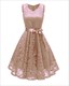V-Neck Sleeveless Lace Overlay Cocktail Dresses
