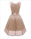 V-Neck Sleeveless Lace Overlay Cocktail Dresses