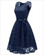 V-Neck Sleeveless Lace Overlay Cocktail Dresses