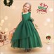 Girls Ruched Bodice Tulle Birthday Princess Dress
