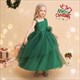 Girls Ruched Bodice Tulle Birthday Princess Dress