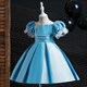 Ruched Bodice Puff Sleeve Birthday Princess Dress