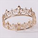 Men's Crown With Rhinestone Accents