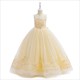 Lace Embellished Sleeveless Birthday Princess Dress