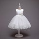 Lace Embellished Birthday Princess Flower Girl Dresses